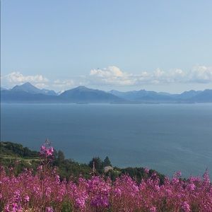 Meet your Posher, Parker